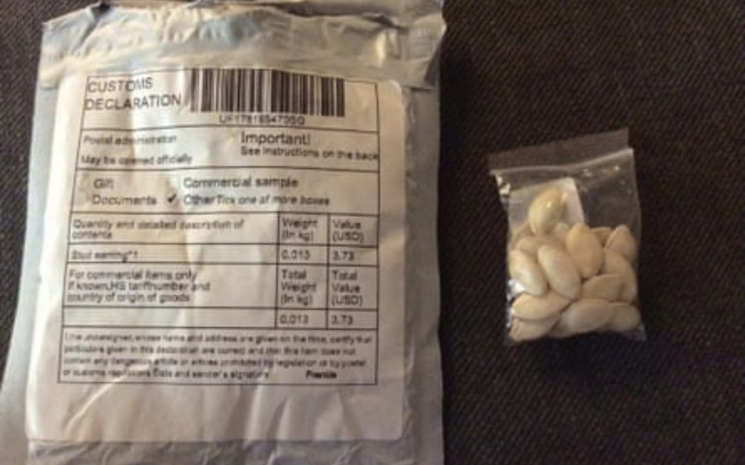Sowing doubt: people around world receive mystery seed parcels