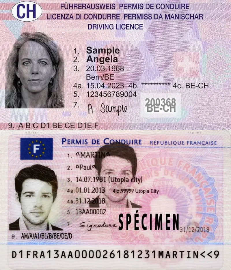 A new look close to the European driving license